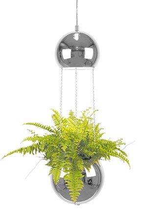 Pendel Mini Planter Krom - Globen Lighting - bild