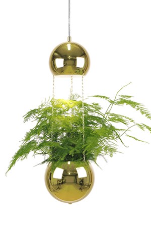 Pendel Mini Planter Mässing - Globen Lighting - bild