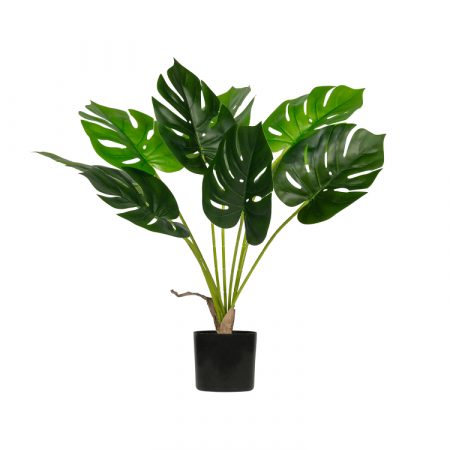 Bild på MONSTERA Konstväxt 70cm från WOOOD